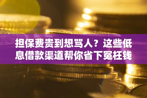 北京担保费贵到想骂人？这些低息借款渠道帮你省下冤枉钱