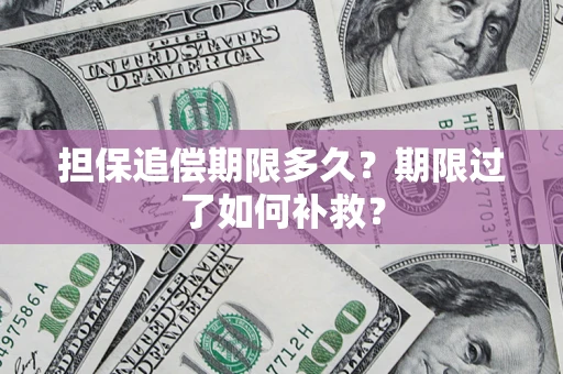 北京担保追偿期限多久？期限过了如何补救？